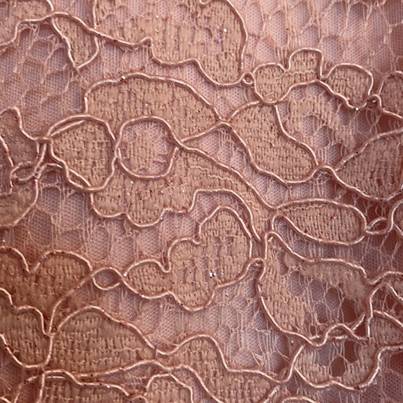 Light Pink dress, fitted, lace with light sparkle - Picture 2 of 4